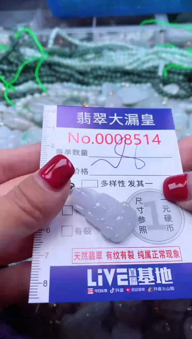 颈饰未镶嵌翡翠8514