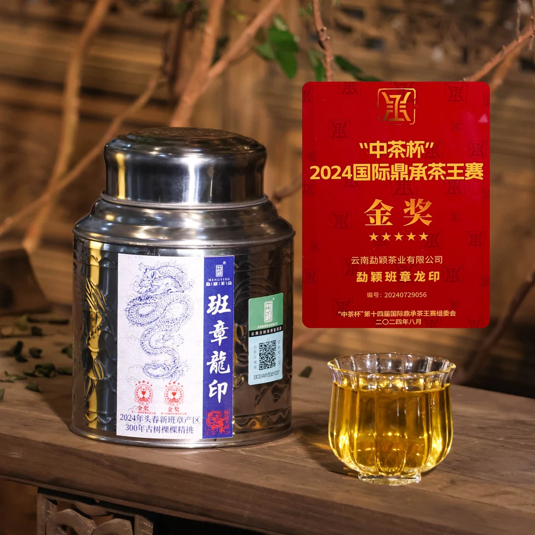 2024班章龙印国际鼎承茶王赛金奖古树春茶普洱生茶散茶100g罐装