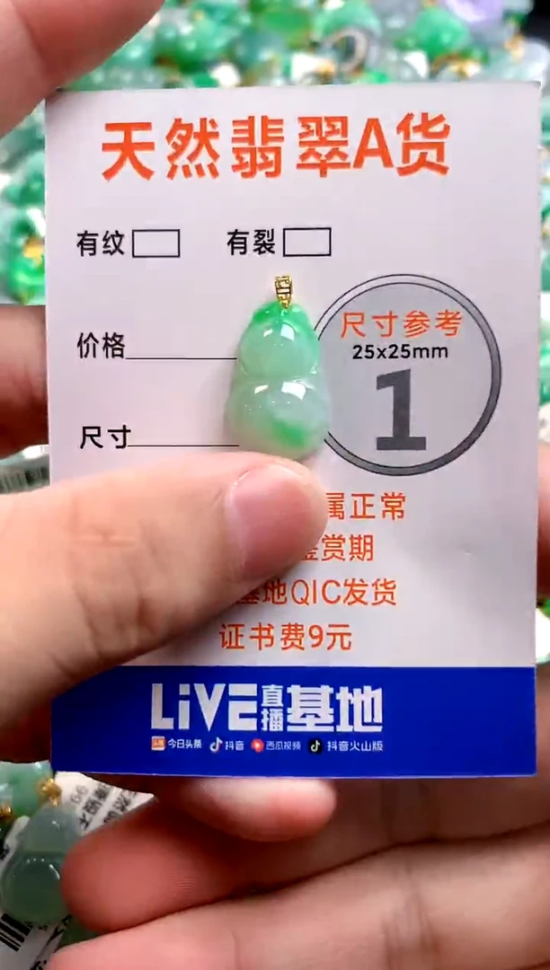 颈饰18K金镶嵌翡翠0801642913