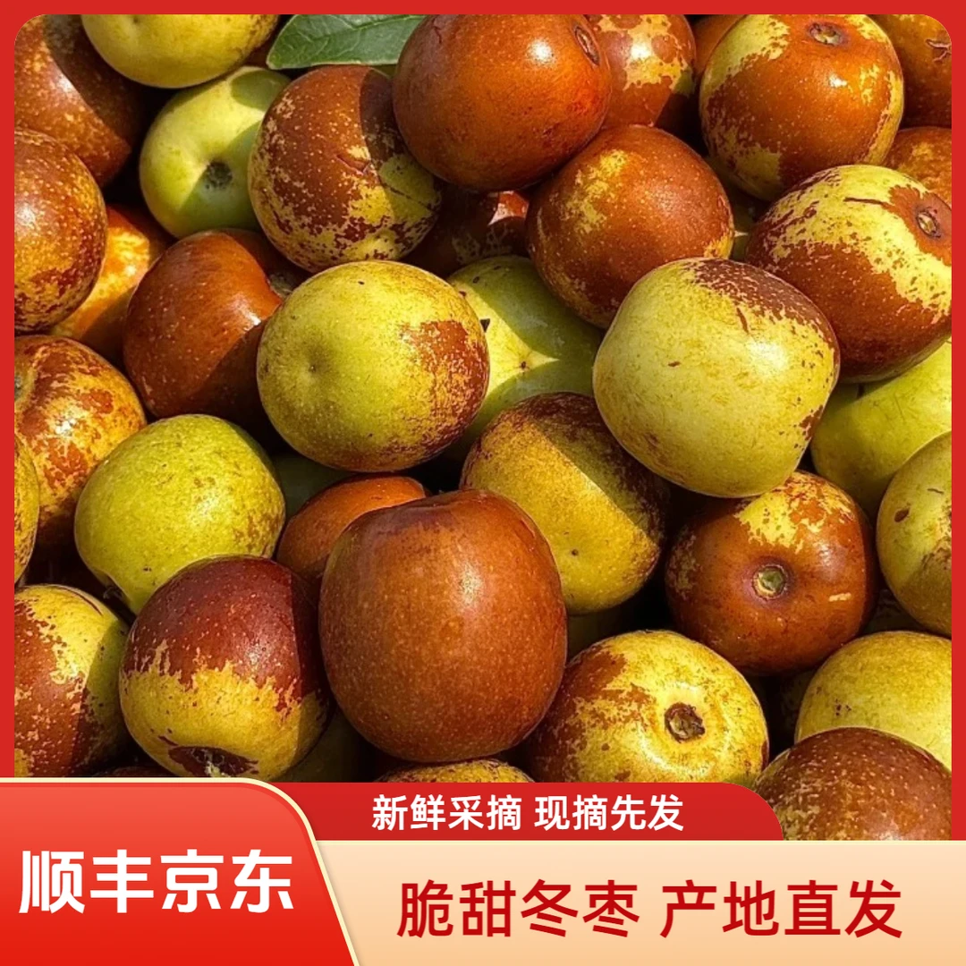 【顺丰京东】脆甜冬枣新鲜脆甜多汁现摘现发应季新鲜水果产地直发