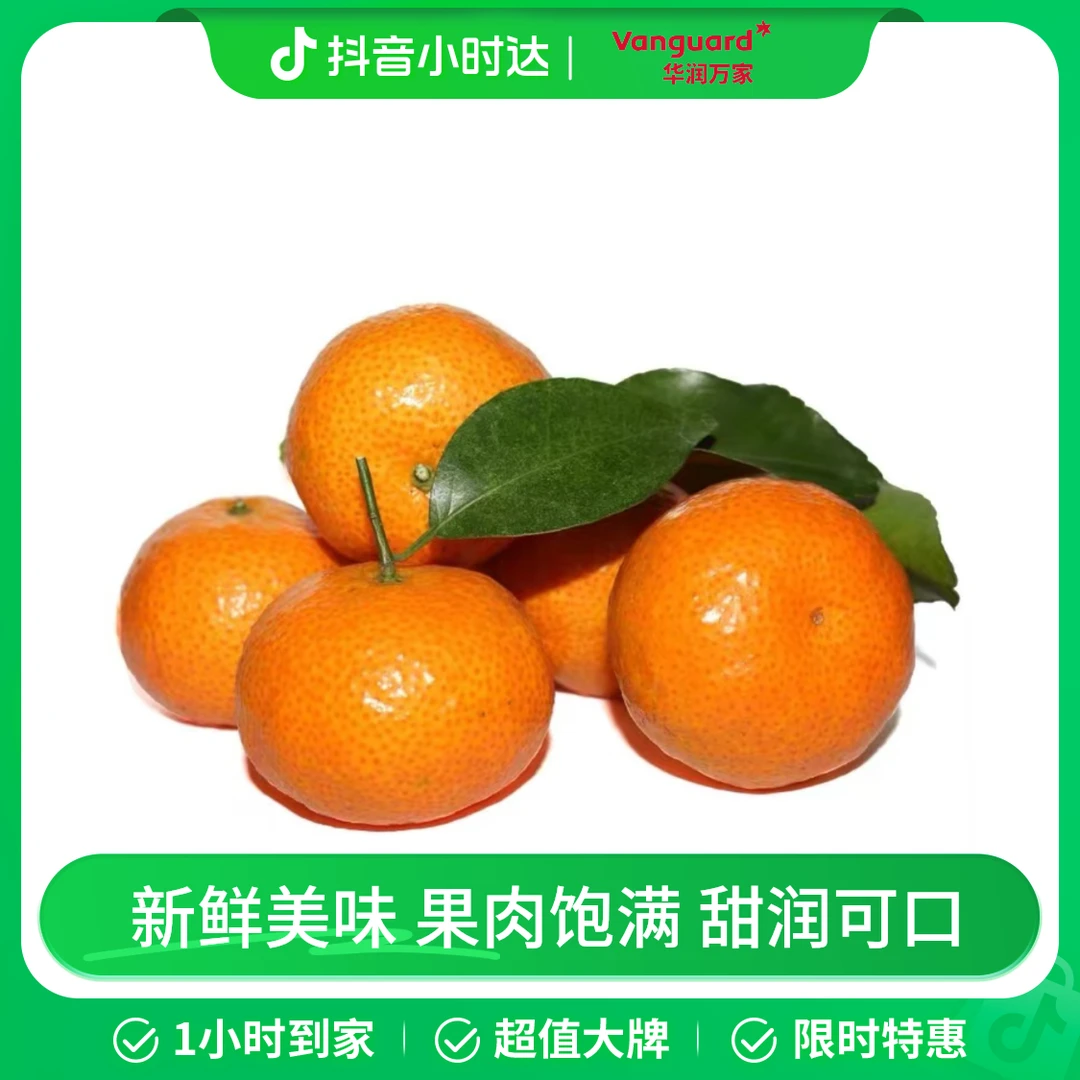 优选广西砂糖桔500g