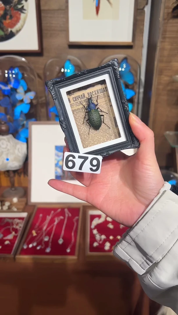 玻璃679疑步甲冰箱贴