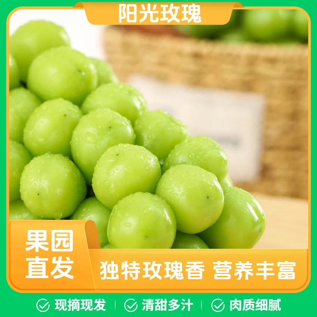 四川凉山西昌阳光玫瑰新鲜应季香甜多汁青提水果礼盒装国企自营