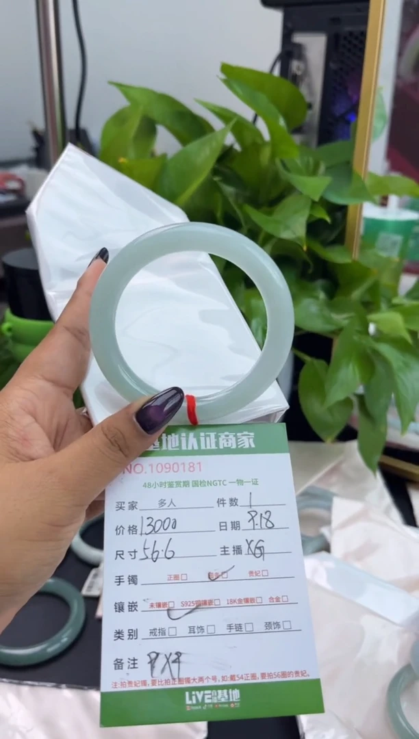 未镶嵌手镯（圆镯）翡翠多人