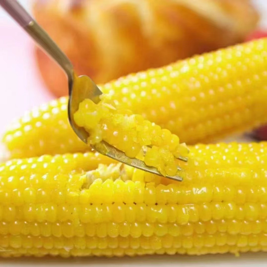 0 添加 儿童鲜糯玉米  12穗  包邮