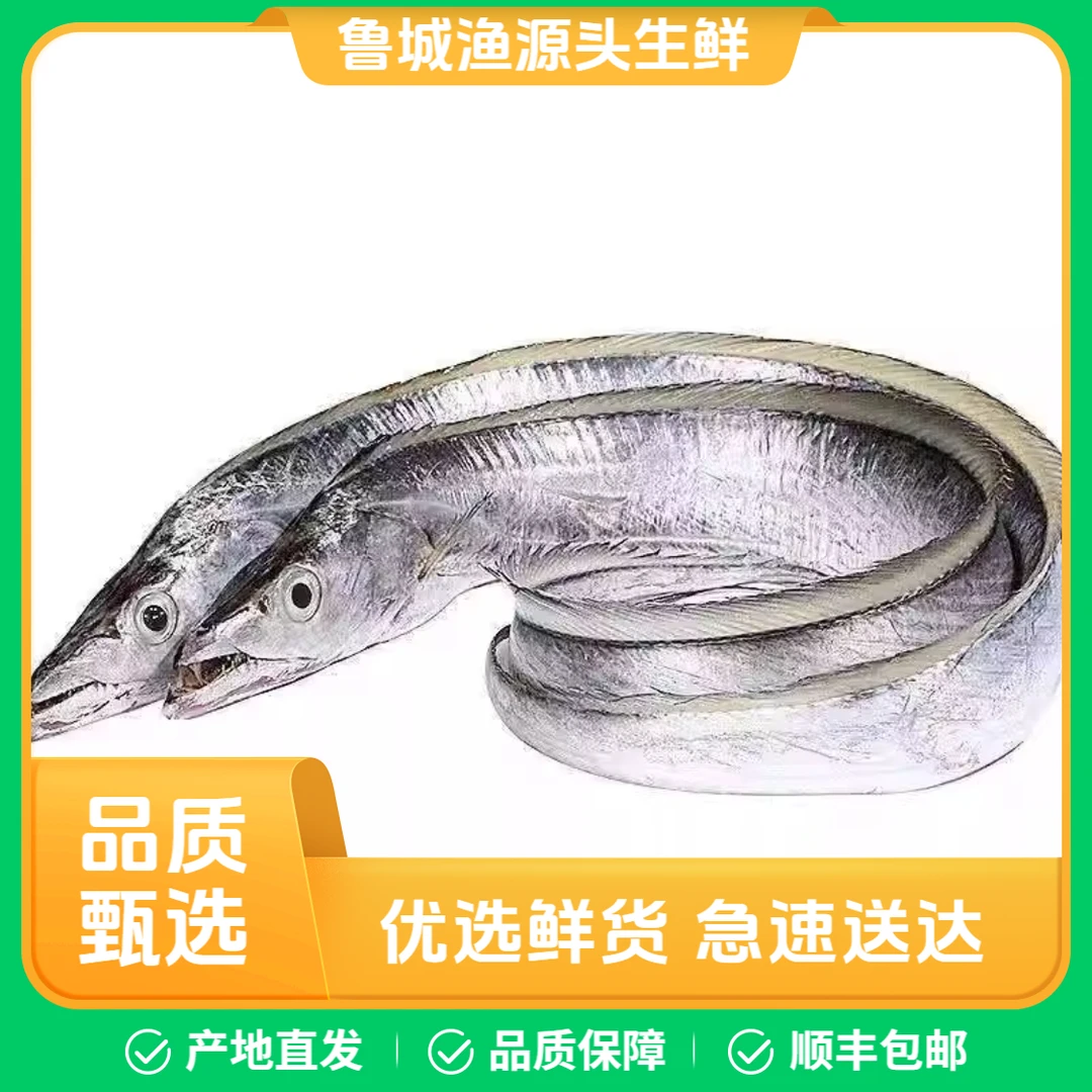 【特价带鱼】海捕青岛小眼油带鱼 刀鱼 顺丰包邮