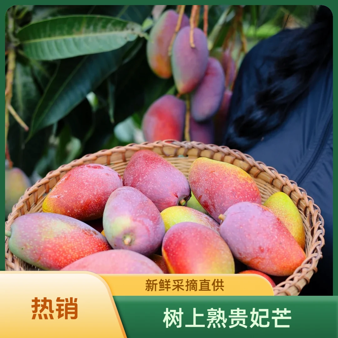 L【催熟食用】海南贵妃芒3斤-10斤新鲜采摘热带当季芒果【北斗七星】