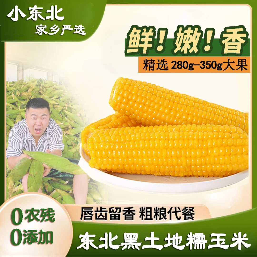 【大棒8斤】东北鲜食黄甜糯玉米280克-350克一箱12根两根试吃
