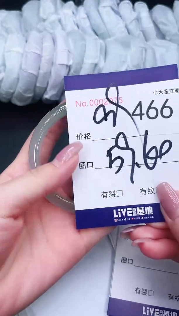 未镶嵌手镯翡翠466