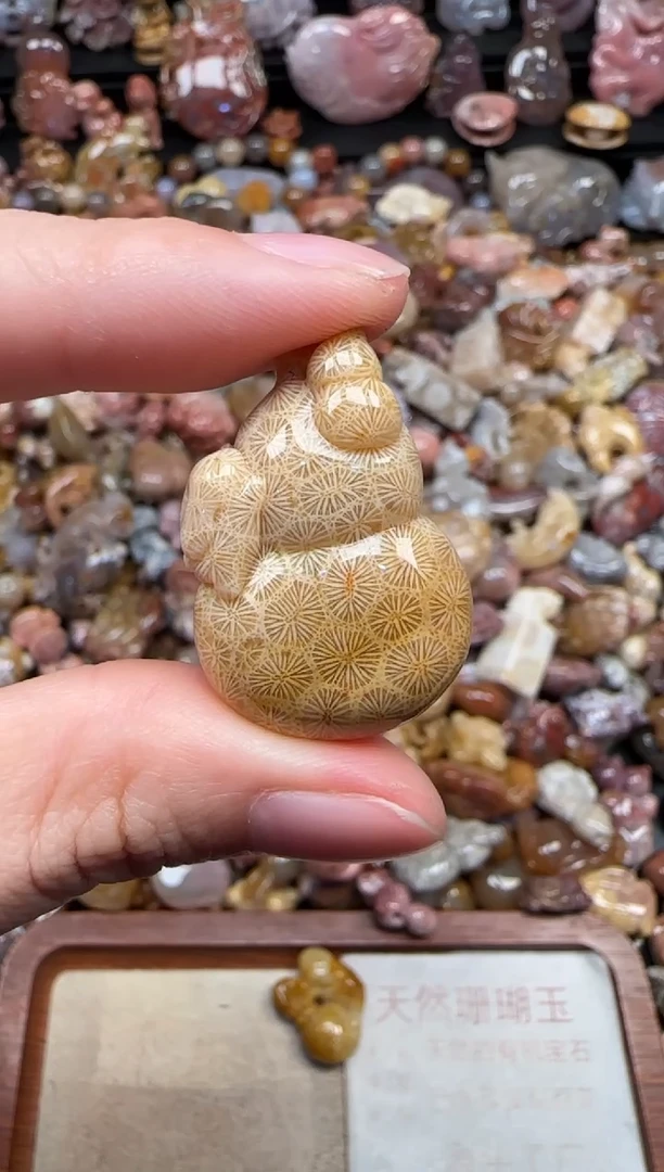 颈饰未镶嵌硅化珊瑚（珊瑚玉）804