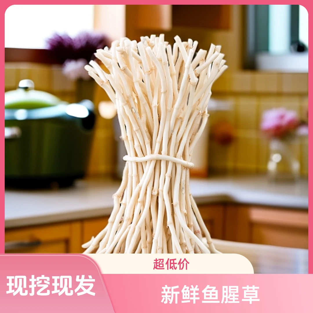 【新鲜现挖】湖北特产洗净鱼腥草新鲜折耳根清脆凉拌爽口节节根