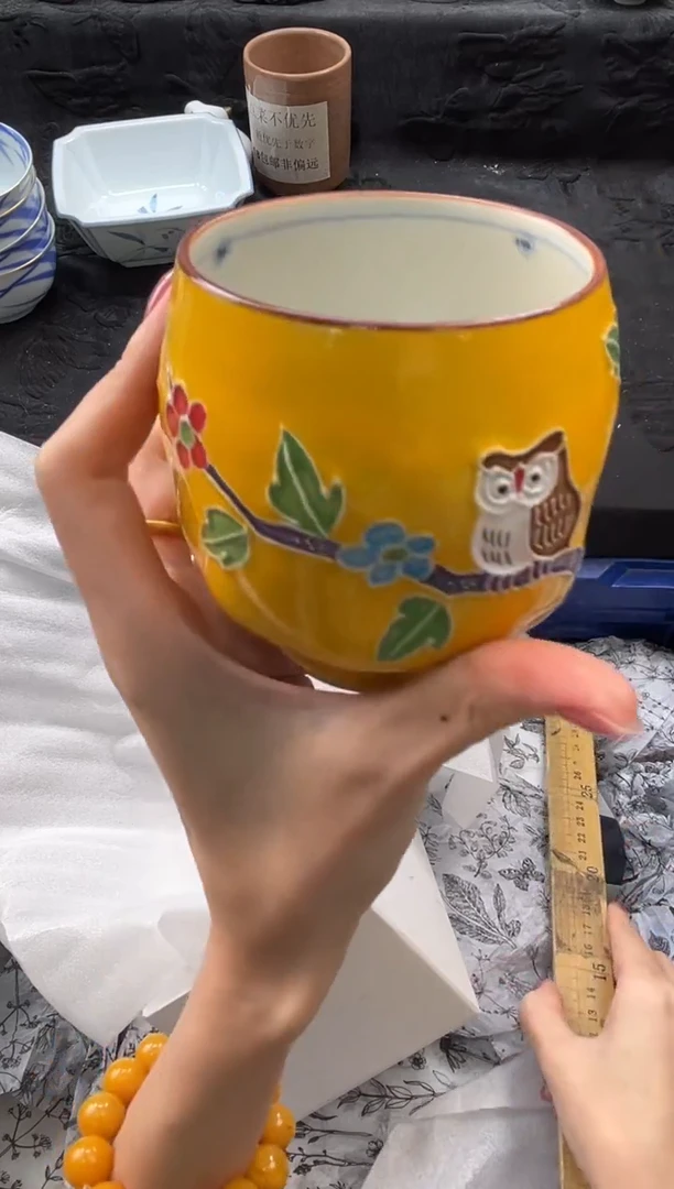 瓷片少***式       E645*