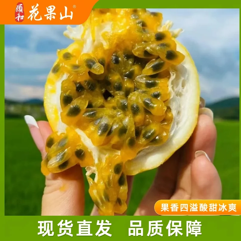 钦蜜9号黄金百香果 果香四溢酸甜拧开即食酸甜发货新鲜