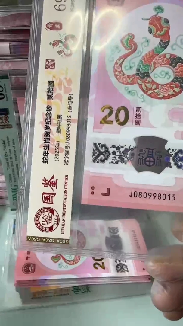 【闪购商品】塑料蛇钞单张！-080998015