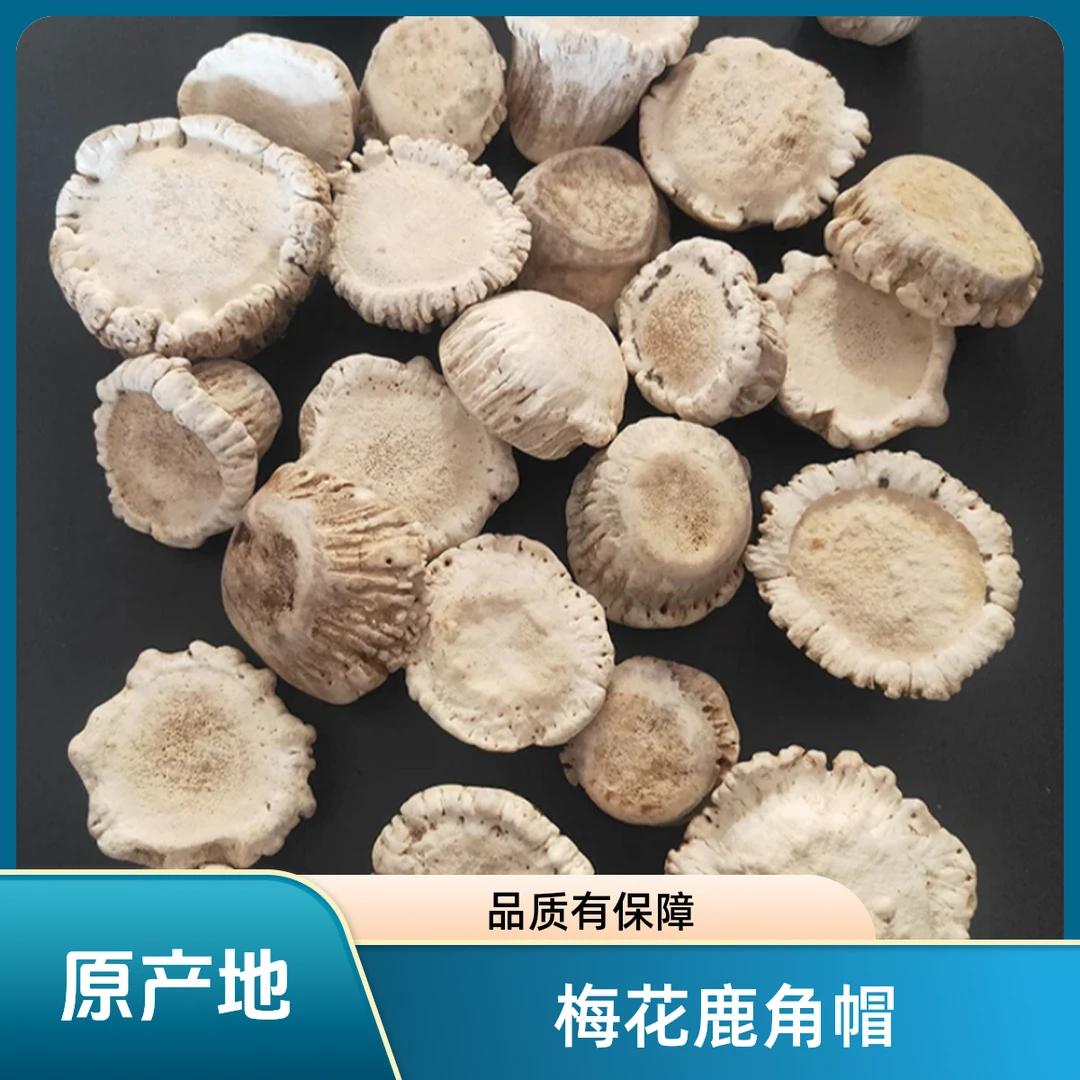 梅花鹿角帽现场打粉，不打粉请备注，梅花鹿产地发货