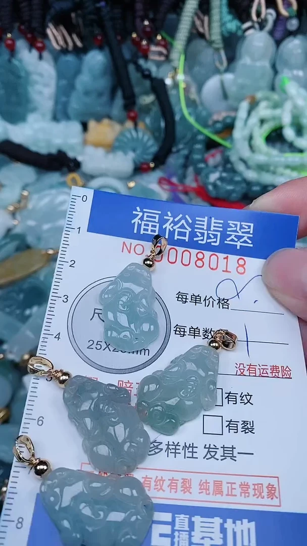 【闪购商品】翡翠颈饰未镶嵌...0008018多样性发其一