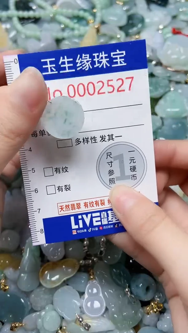 【闪购商品】翡翠颈饰未镶嵌闪购00002527
