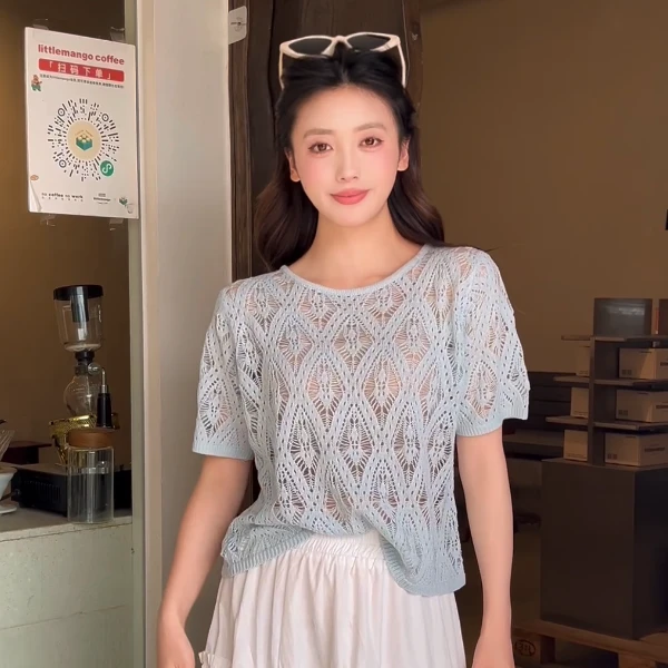 2025春夏季新款时尚百搭V领短袖和纸纱针织衫女宽松显瘦长袖上衣