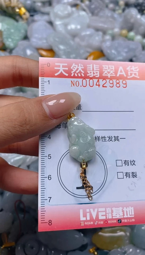 翡翠未镶嵌颈饰闪购0042989
