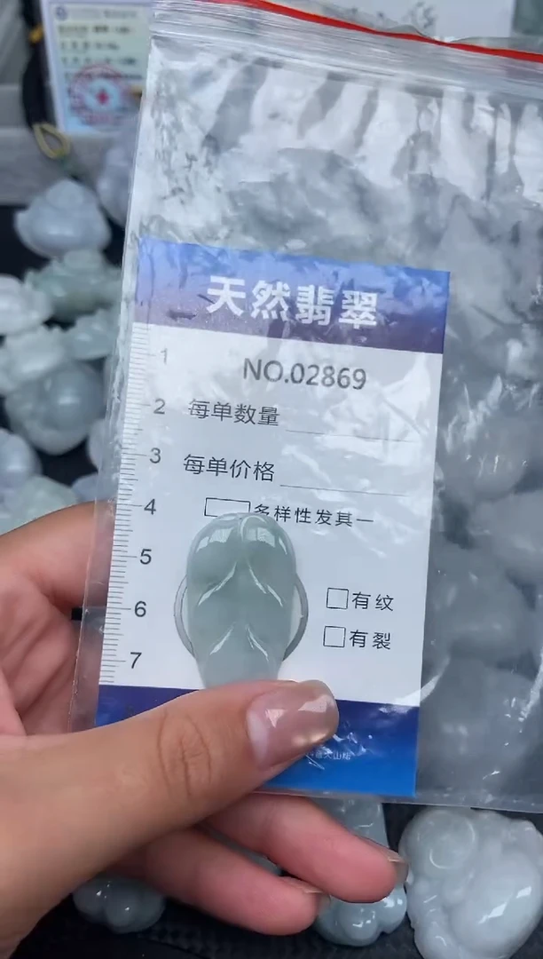 颈饰未镶嵌翡翠纯天然A货翡翠2869