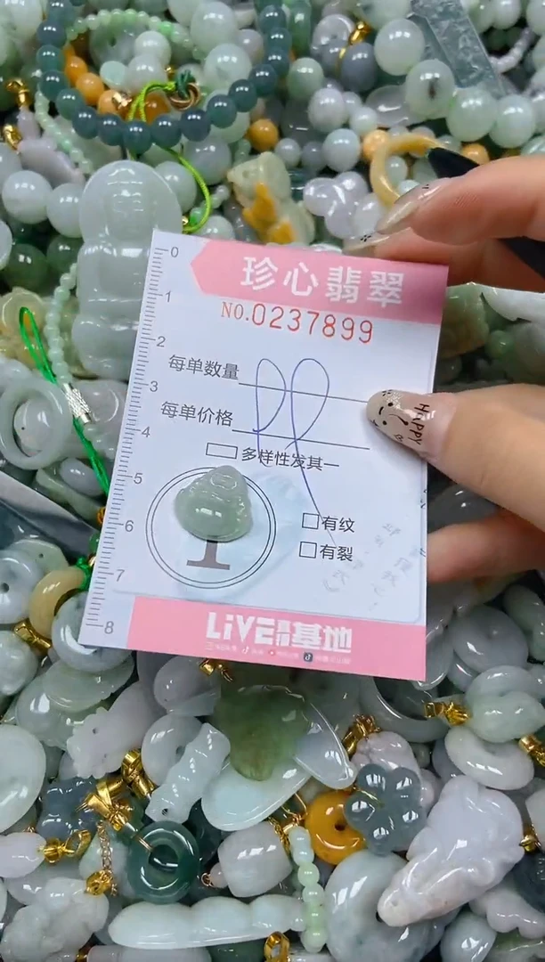 翡翠未镶嵌颈饰闪购0237899