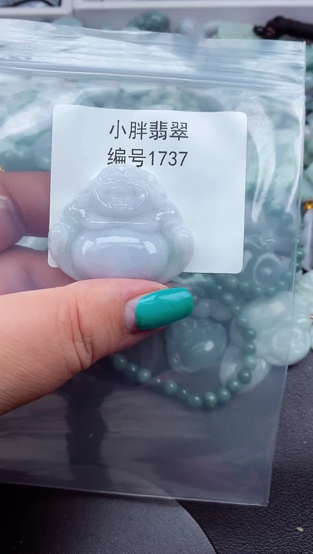 颈饰未镶嵌翡翠缅甸天然A货翡翠1737