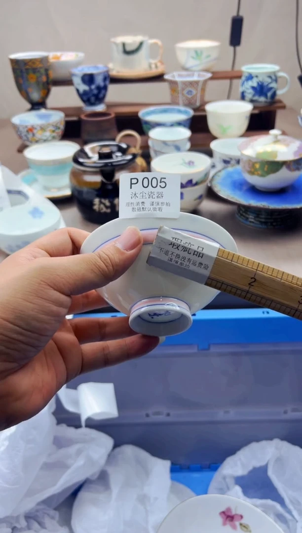 瓷片          P005