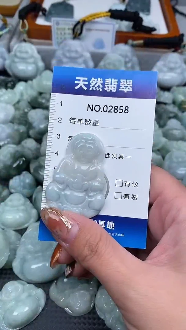 颈饰未镶嵌翡翠纯天然A货翡翠2858