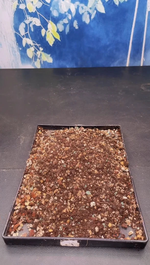 【闪购商品】多肉专用土量拍一单单独包邮