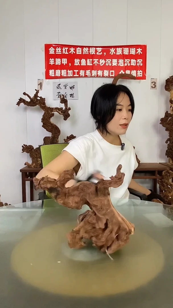 香榧木书金丝红木 羊蹄甲
