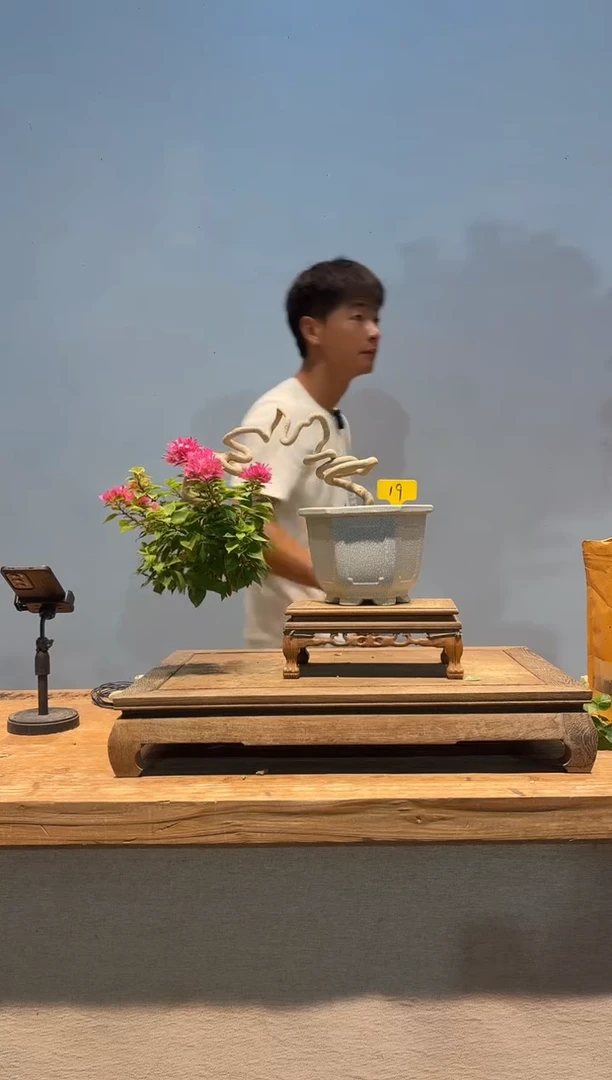 无花朵@****费小桃红19