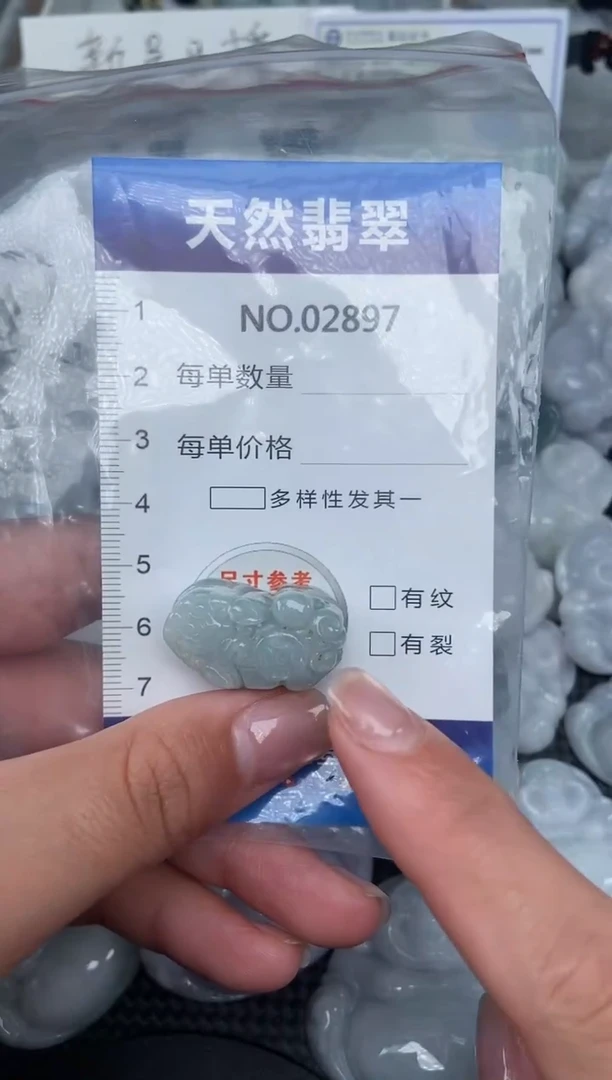 颈饰未镶嵌翡翠纯天然A货翡翠2897