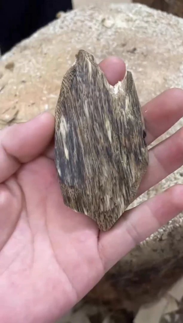 沉香沉香碎屑棋楠沉香 原料文创1