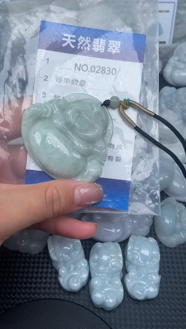 颈饰未镶嵌翡翠纯天然A货翡翠2830