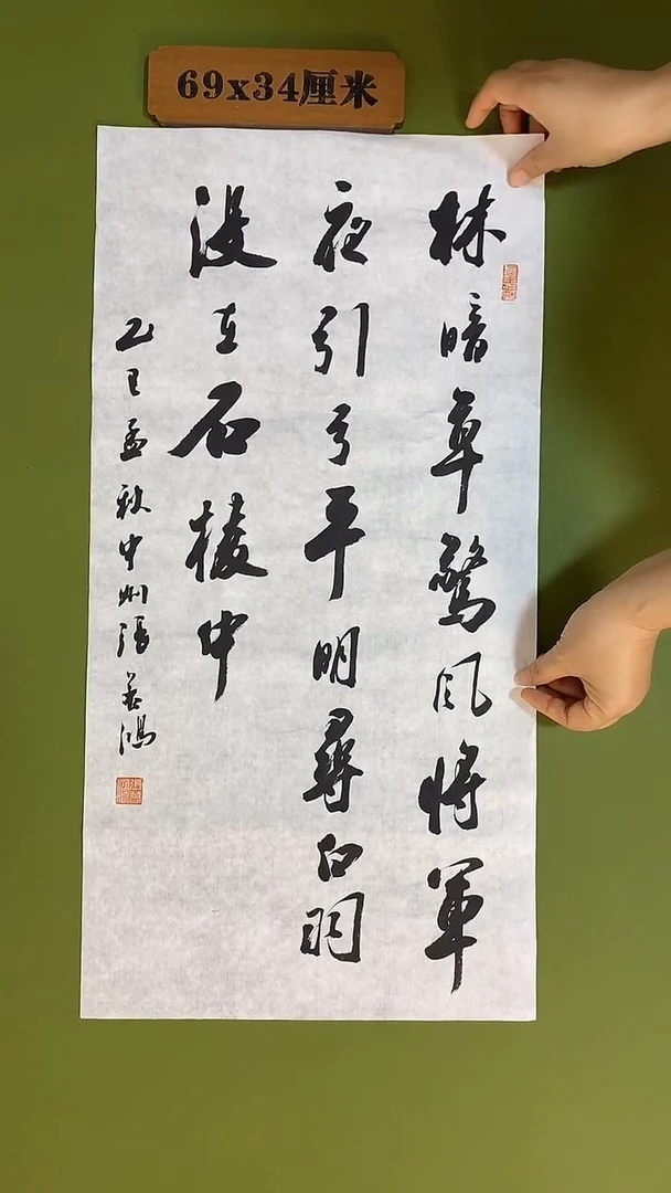 书法书法 张若鸿 尺寸69cm*34cm