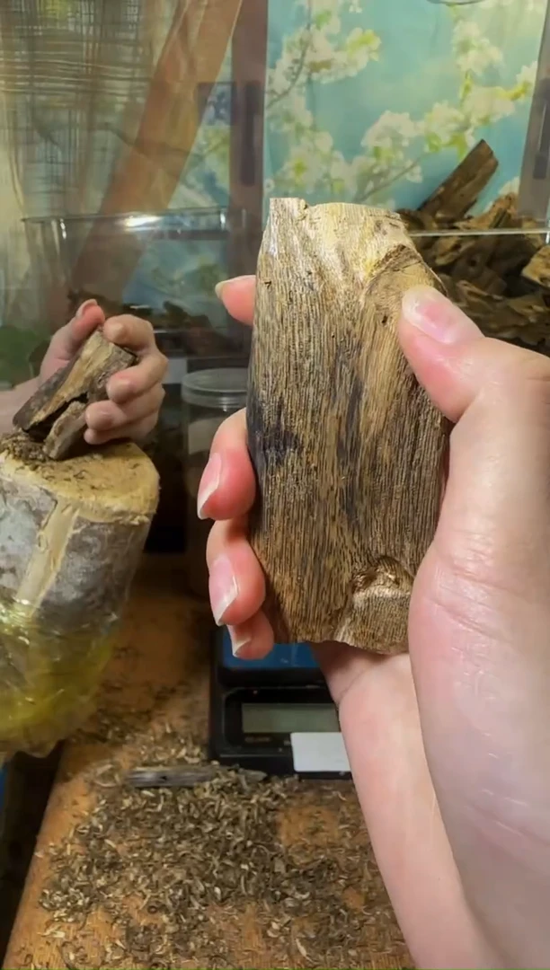 沉香沉香碎屑白棋66