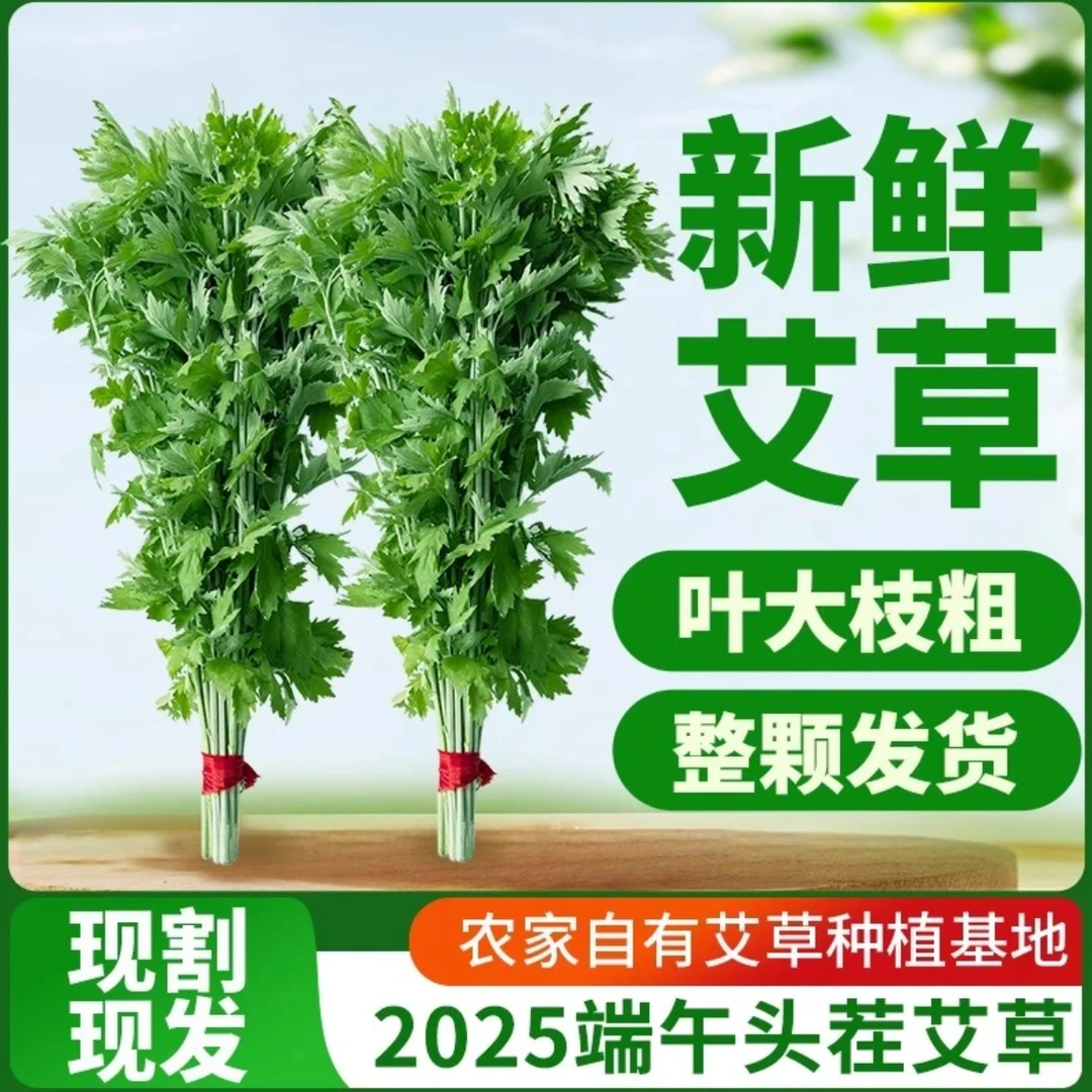 新鲜现割整颗艾草端午节挂门当季嫩艾草手工快速颈椎家用养护便携