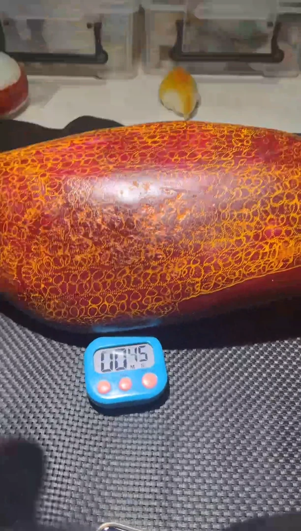 未镶嵌和田玉挂件3