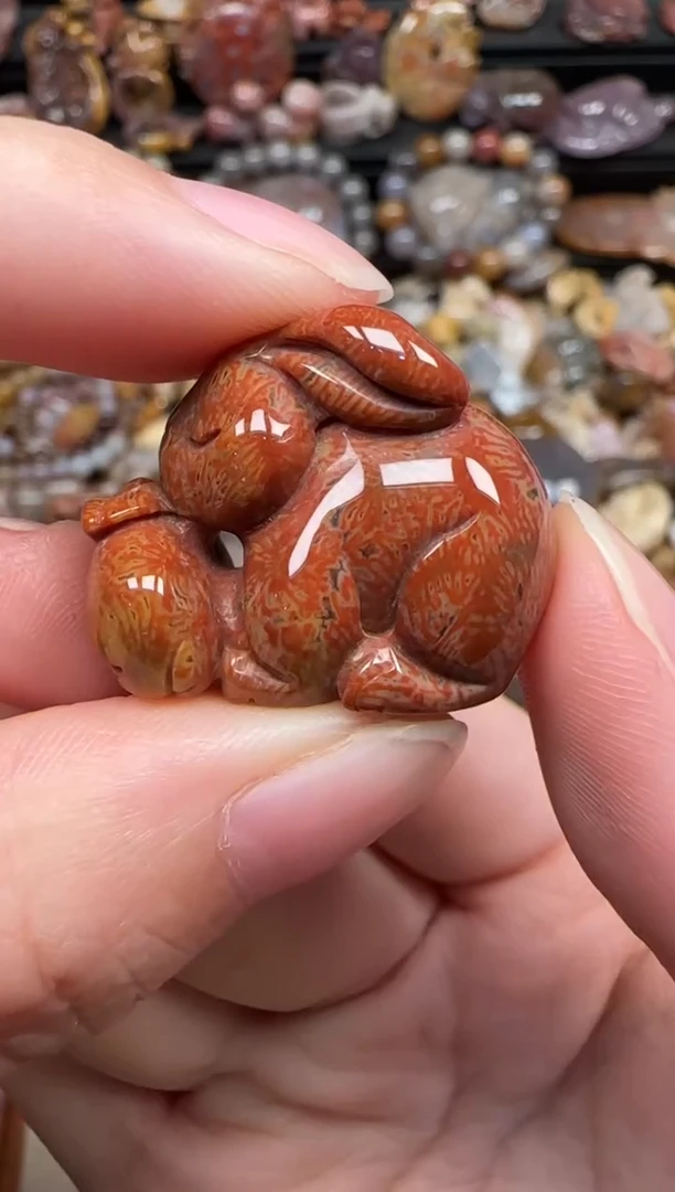 颈饰未镶嵌硅化珊瑚（珊瑚玉）176