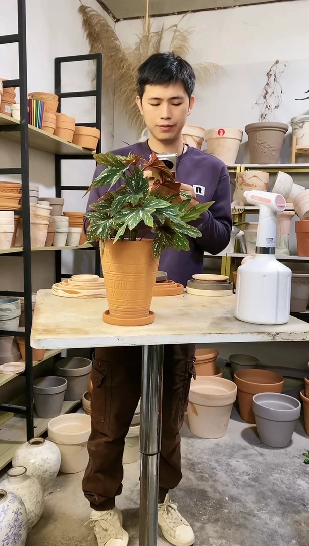 【闪购商品】陶13.5*17红陶浮雕反比例 1盆1托