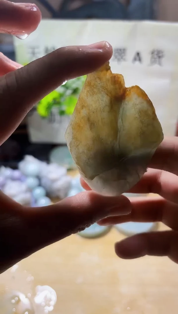 颈饰未镶嵌翡翠翡翠A货 656
