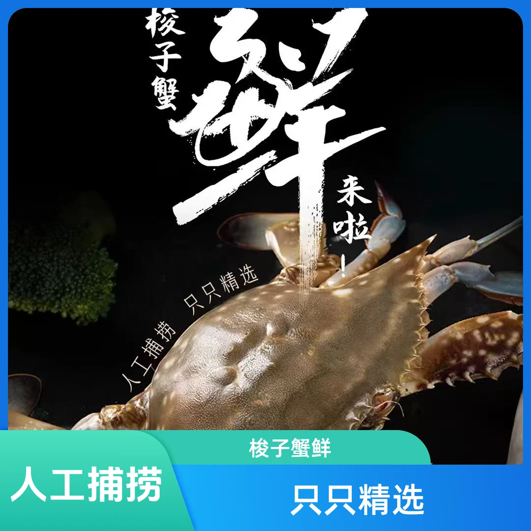 【保鲜不保活】东海野生吴淞蟹单只3-5两到手2.6斤6只左右梭子蟹