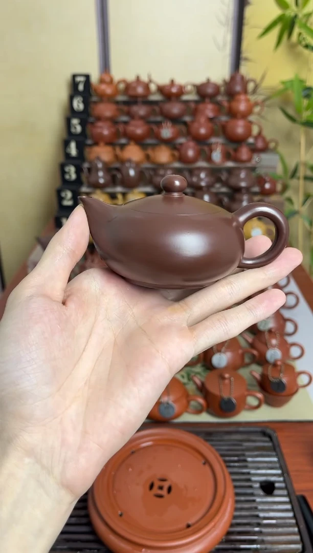 紫泥凤雏130cc带证书礼盒