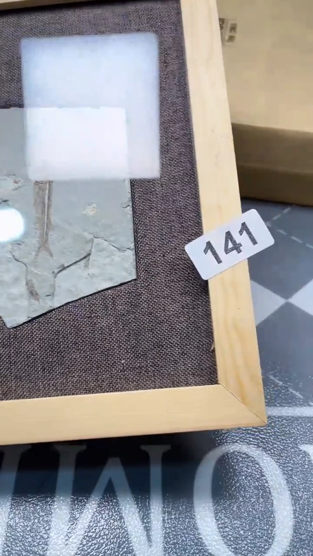 瓷片陶瓷如图所示周边