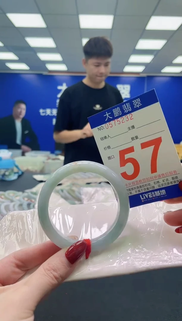 未镶嵌手镯翡翠AAAAAAAAA