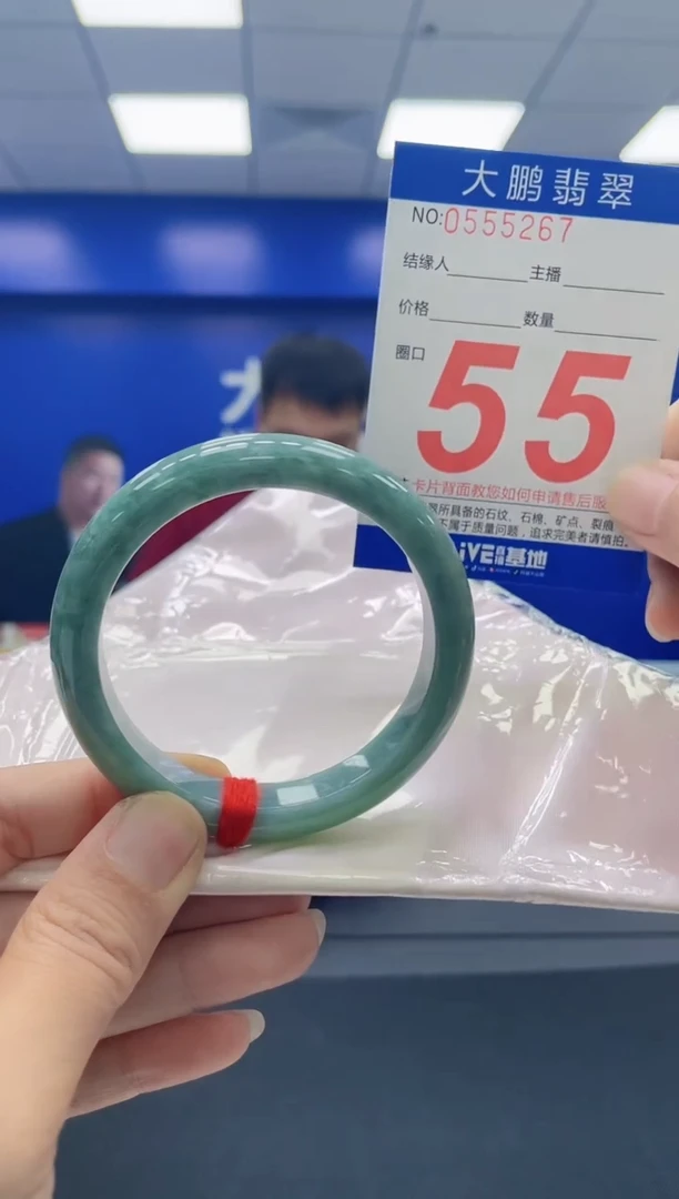 未镶嵌手镯翡翠AAAAAAAAAA