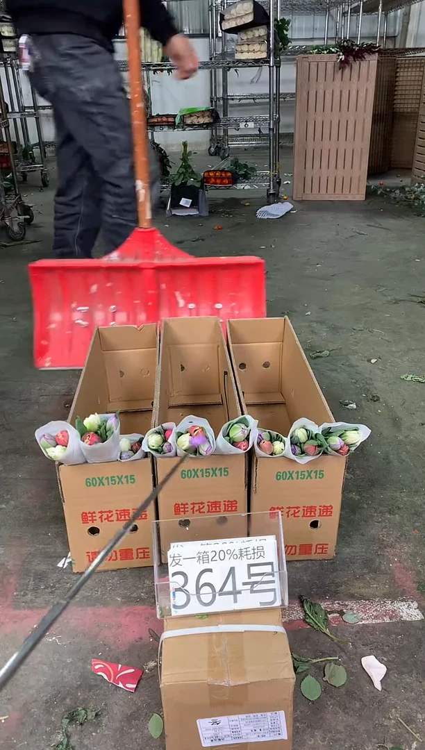 364号♥中通含20%耗损发一箱