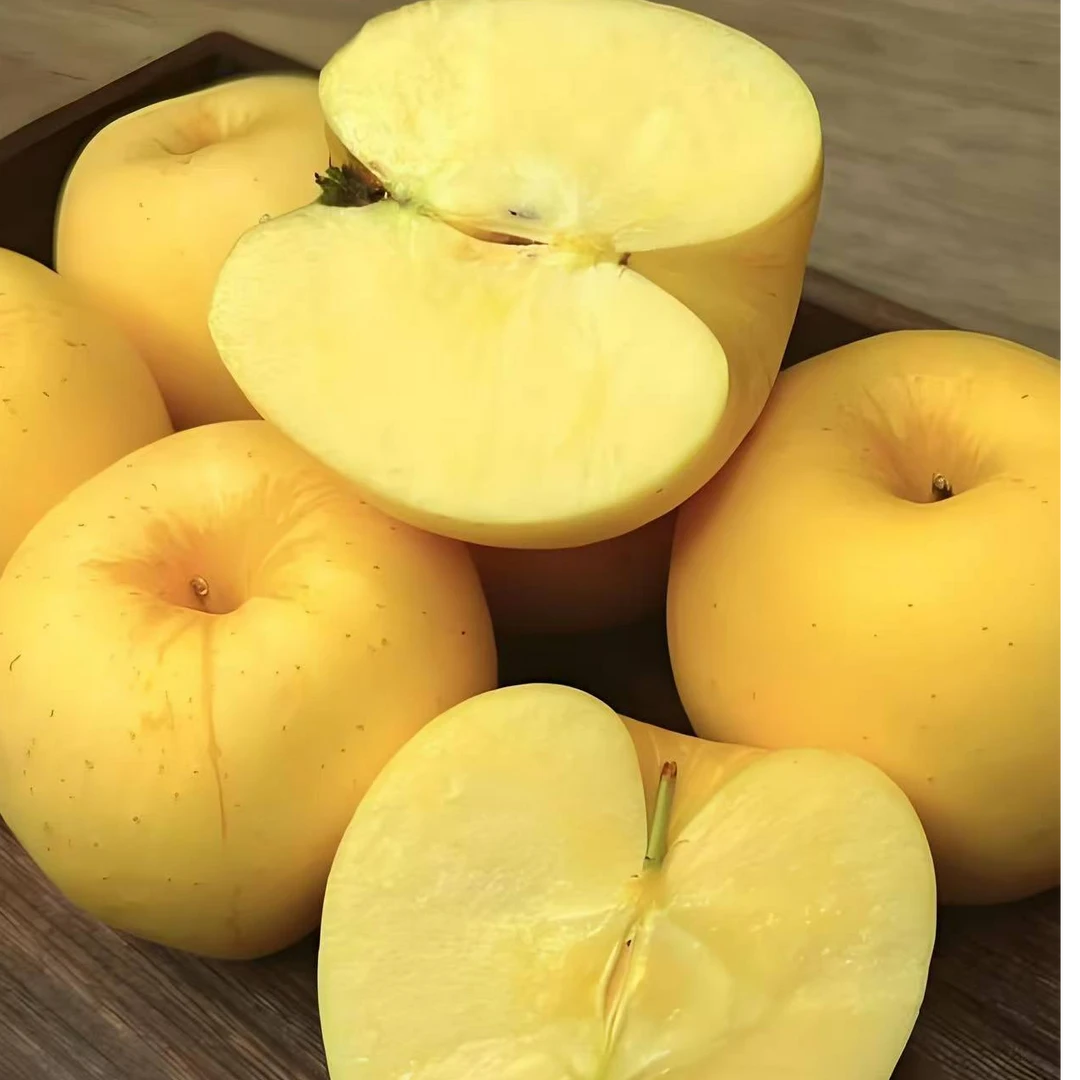 云南维纳斯苹果1个云南省