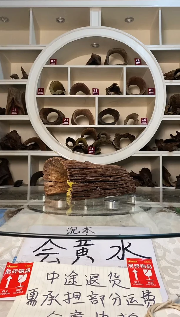 -***鲤鱼缸爬宠造景素材917