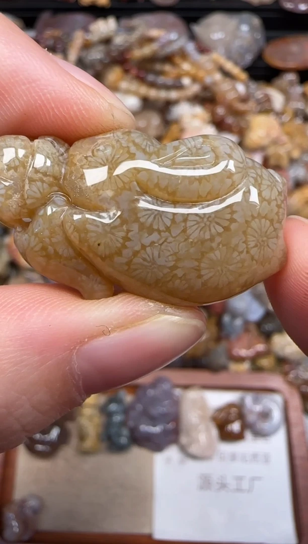 硅化珊瑚（珊瑚玉）未镶嵌颈饰332